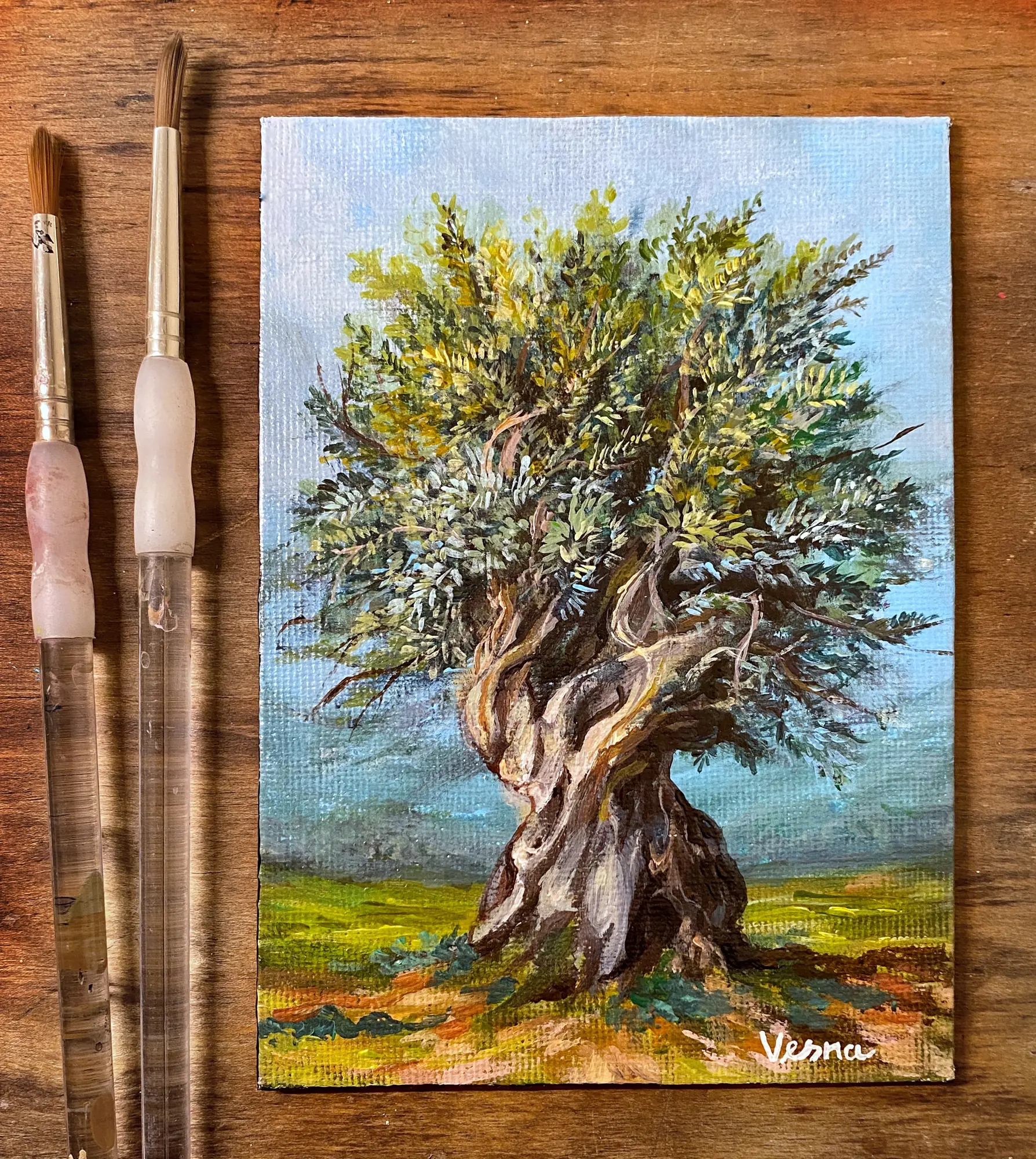 A painting of an ancient olive tree on a studio easel